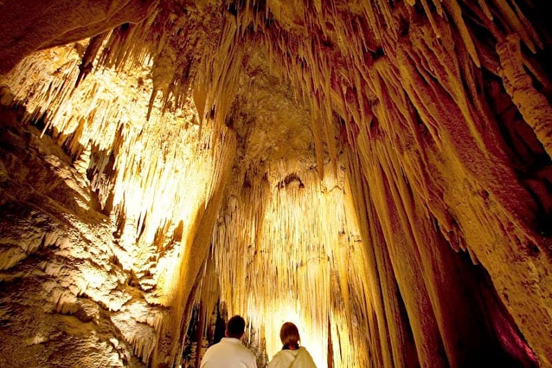 Hastings Caves and Thermal Springs Tasmania photo