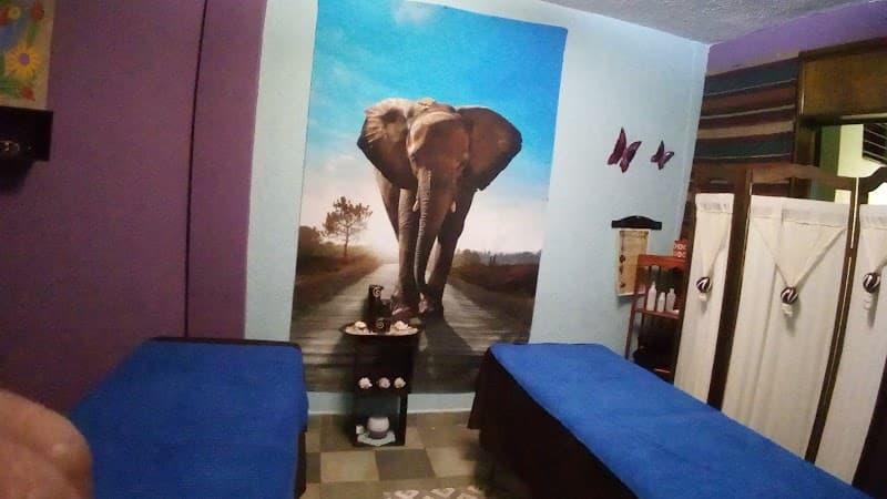 Hato Ryu Spa Oaxaca photo