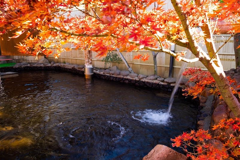 Hatsuhana Yamanashi City photo