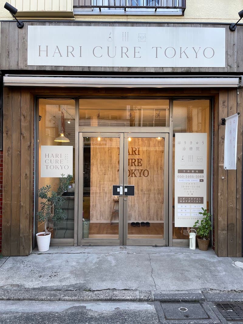 Hattori Osteopathic Clinic Iguchi Branch Mitaka City photo