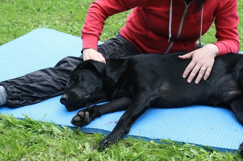 Hau Pair koirahieronta Riihimäki photo