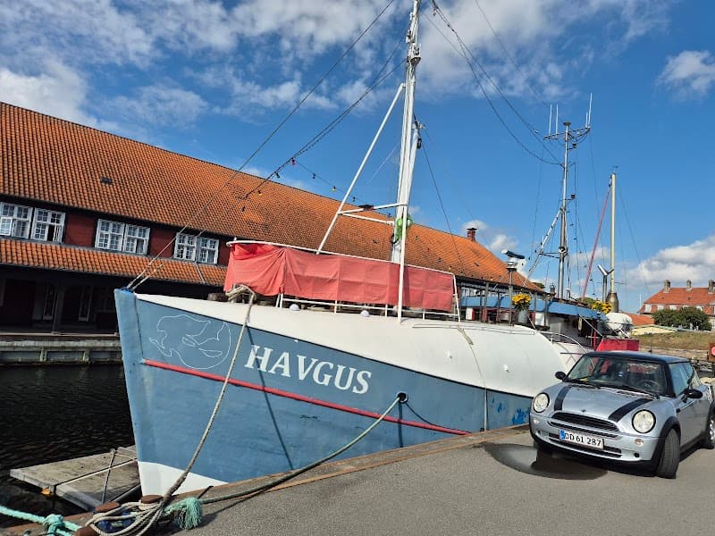 Havgus København photo