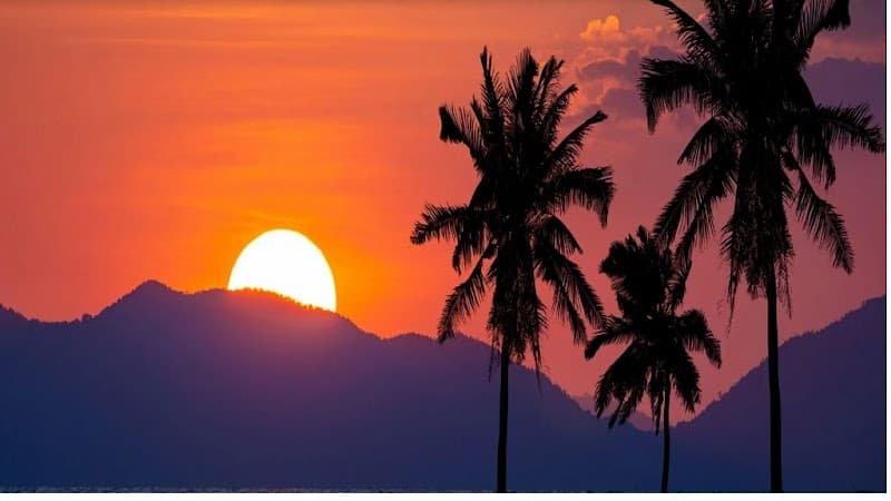 Hawaii Choi Spa Honolulu photo