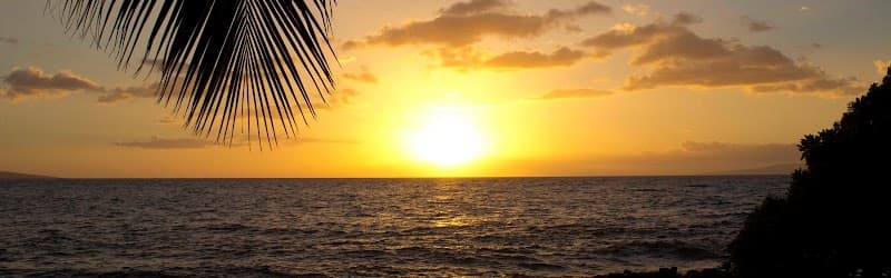 Hawaiian Experience Spa - Goodyear photo