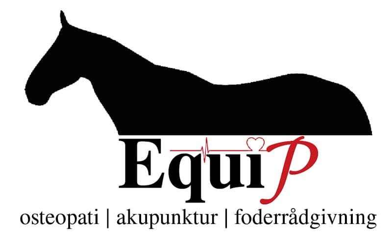HC-Equiterapi Mellbystrand photo