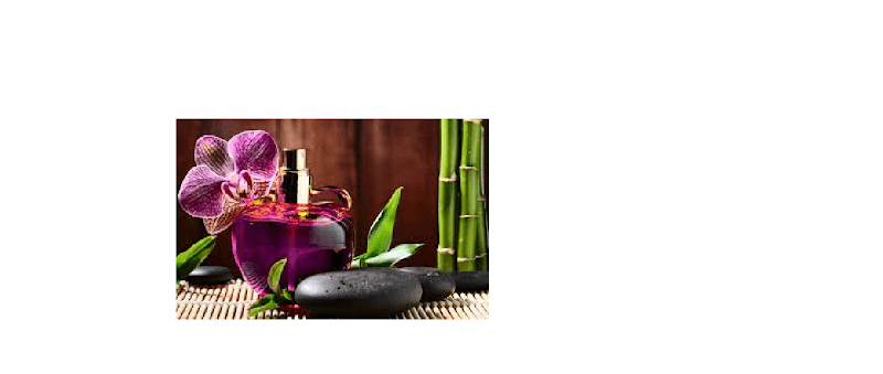 Healing Hands by Tricia Lemoine Alexandria photo