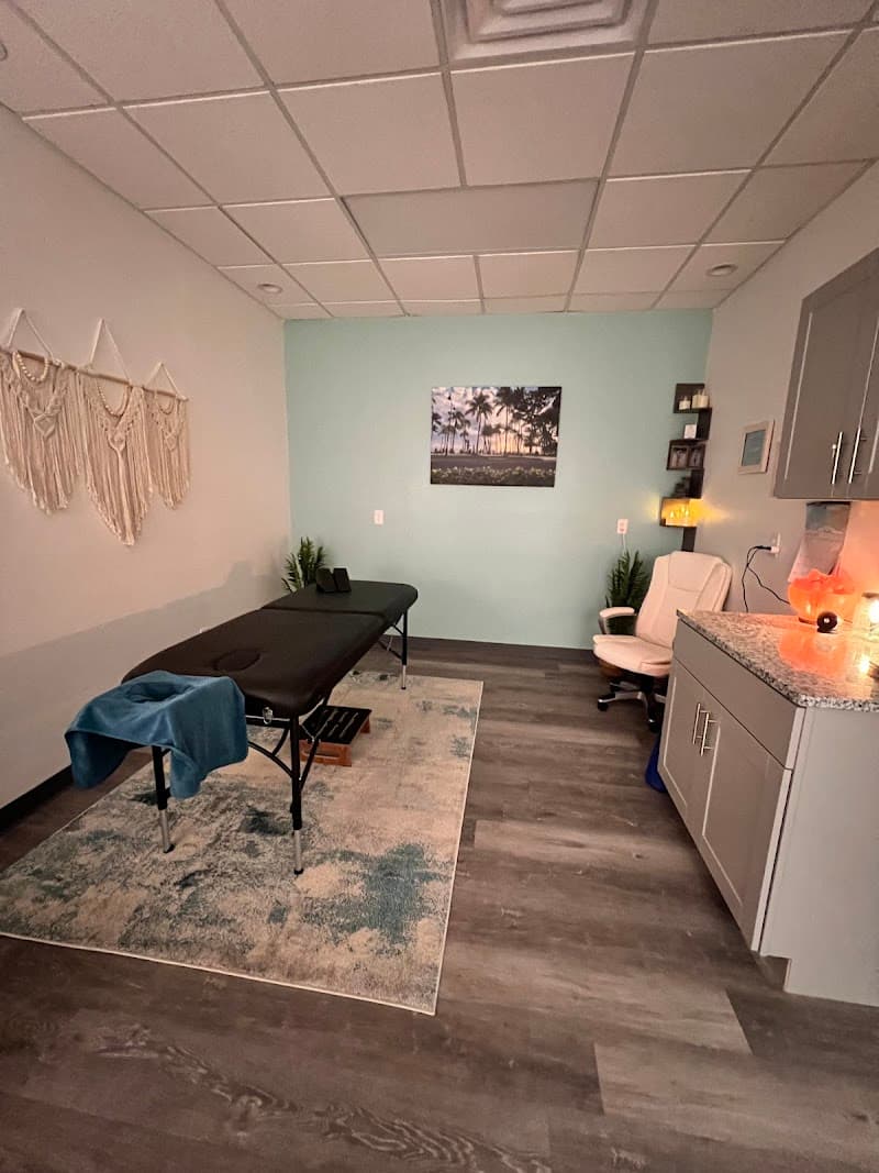 Healing Hudson Spinal Flow & Holistic Wellness Lockport photo