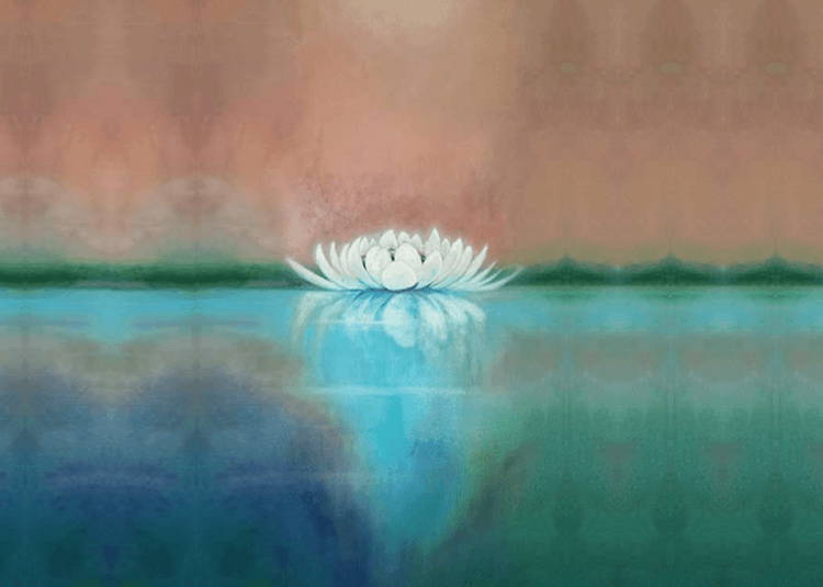 Healing Lotus Massage and Skincare Denver photo