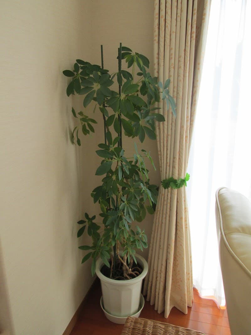 Healing Room Shanti Nagano photo