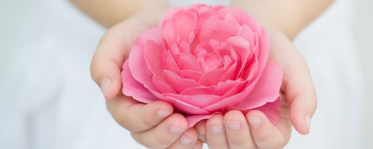 Healing Wellness Health Clinic Waterford photo