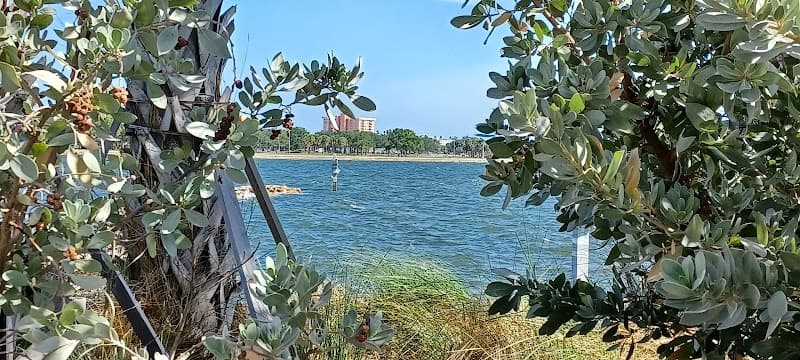 Health and Healing Touch Wellness Center Tampa photo