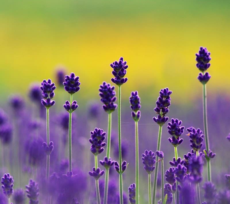 HEALTH MATTERS Esthetics and Massage Waynesboro photo