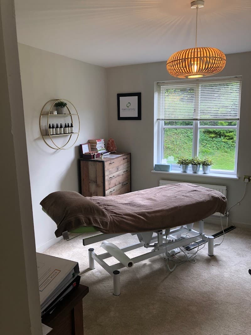 Health with Harmony By Christine Perrott Neath photo