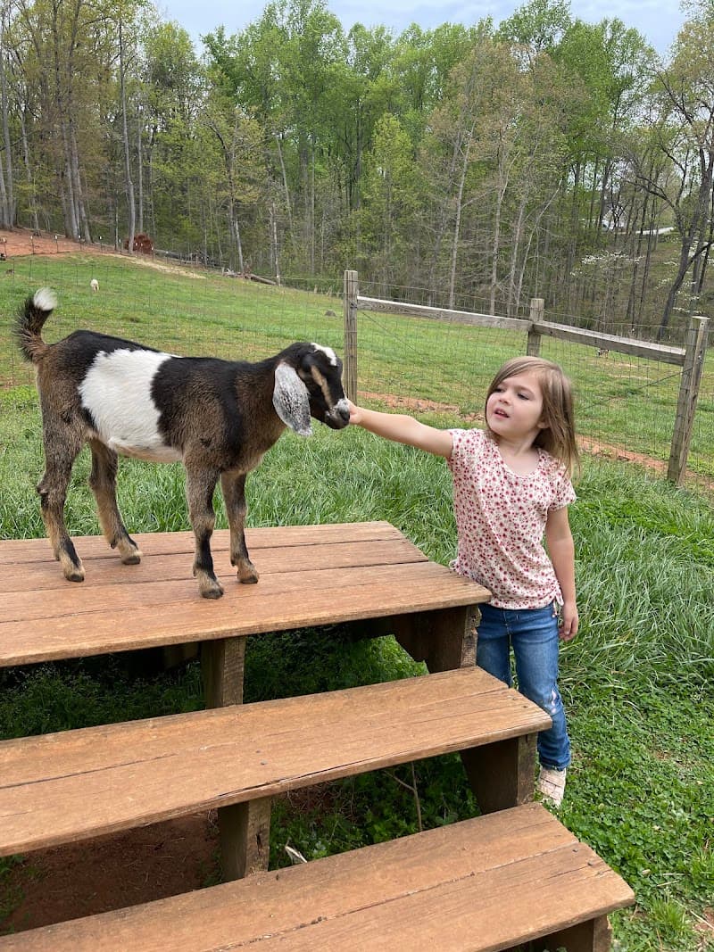 Heaven Sent Goat Milk Soap and Bath Products Greenville photo