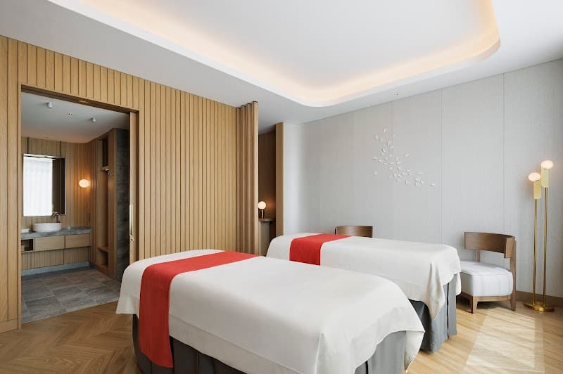 Heavenly SPA by Westin San Pedro Garza García photo