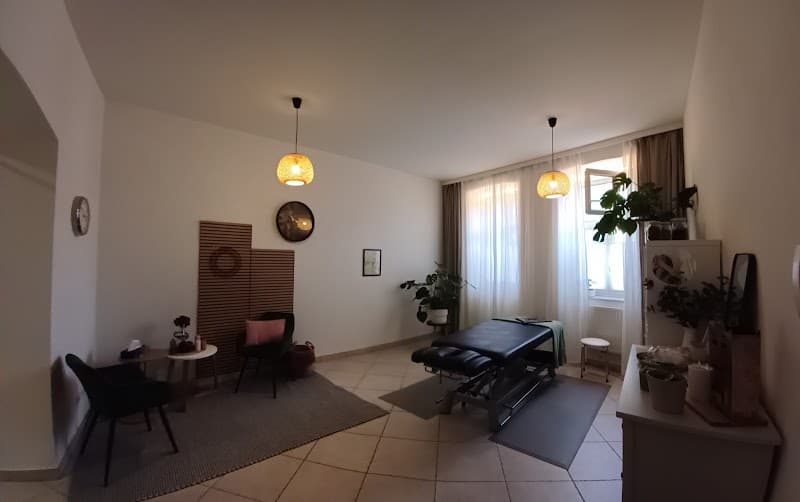 Heilmassage und Gewerbliche Massagefachpraxis Rosalinde Pils Wieselburg photo