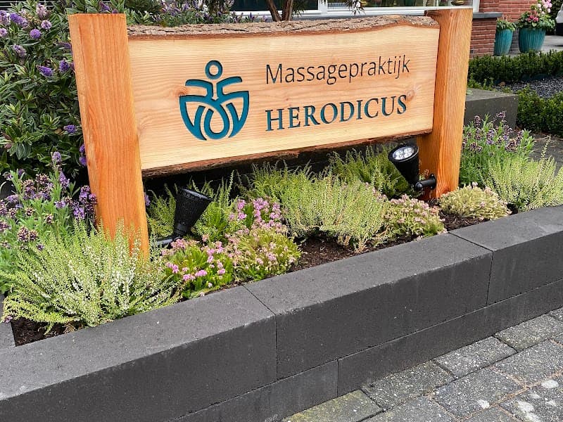 Herodicus Lelystad photo