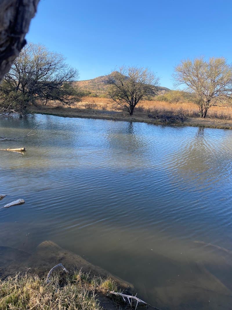 Hervideros SPA Santiago Papasquiaro photo