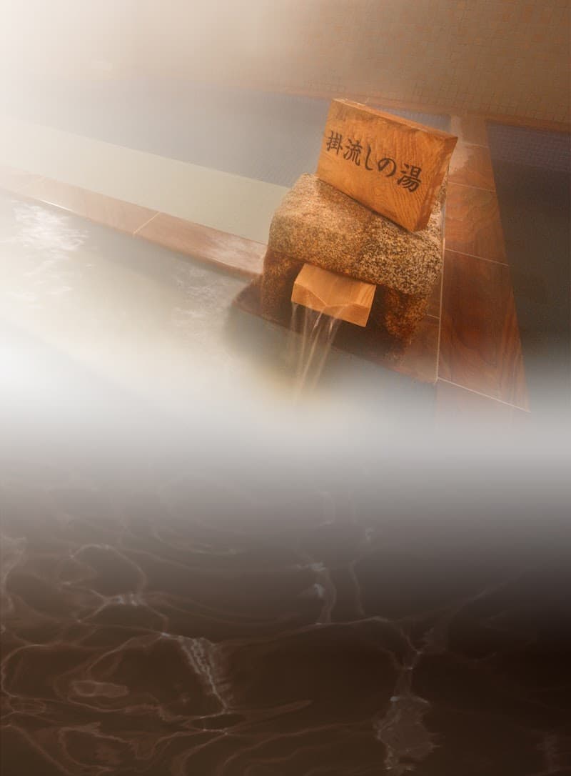 Hida Takayama Onsen Hidamari no Yu Takayama City photo