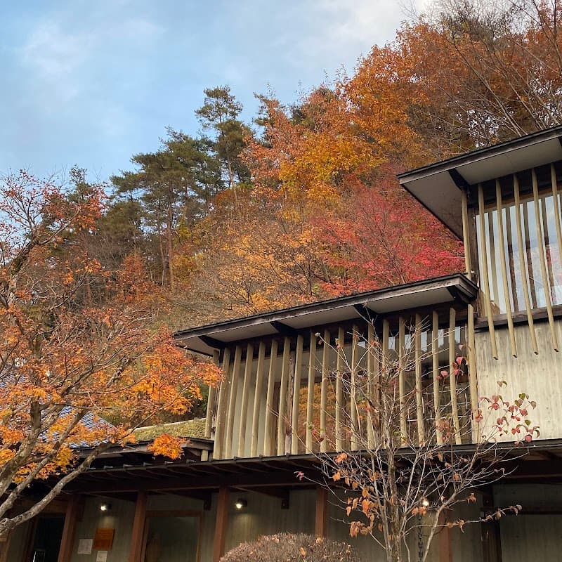 Hidagawa Onsen Shimizu no Yu Gero City photo