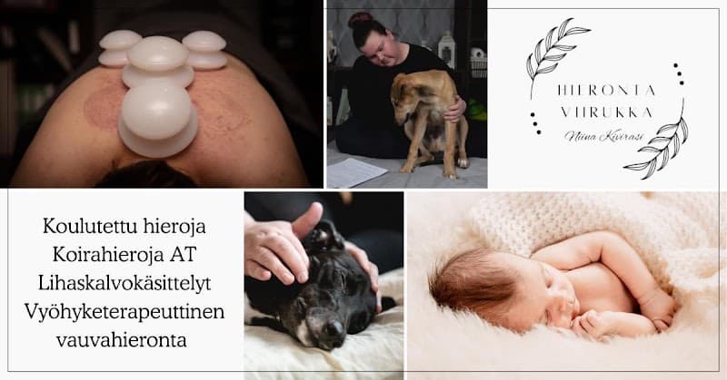 Hieronta Viirukka Janakkala photo