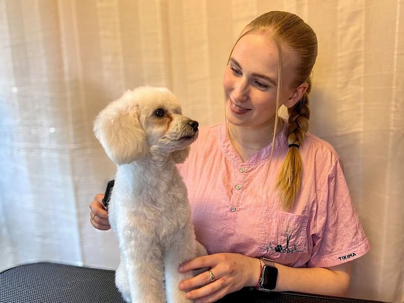 HierontaStudio & Trimmaamo Säde Kaarina photo