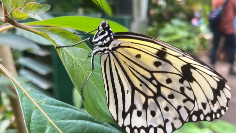 Higher Heart Mind Body & Spirit Therapy Denver photo