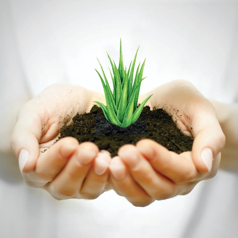 Himalaya Spa and Relaxation Centre Ajman photo