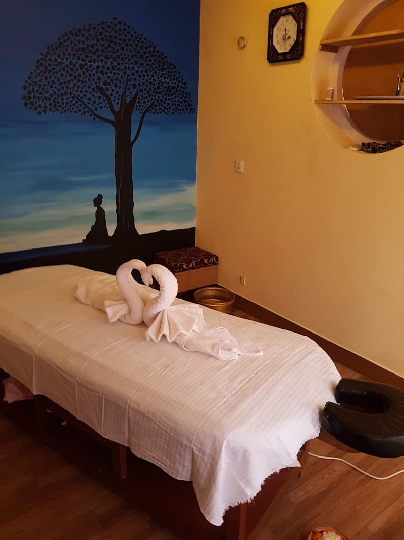 Himalayan Healers of Nepal Lalitpur photo