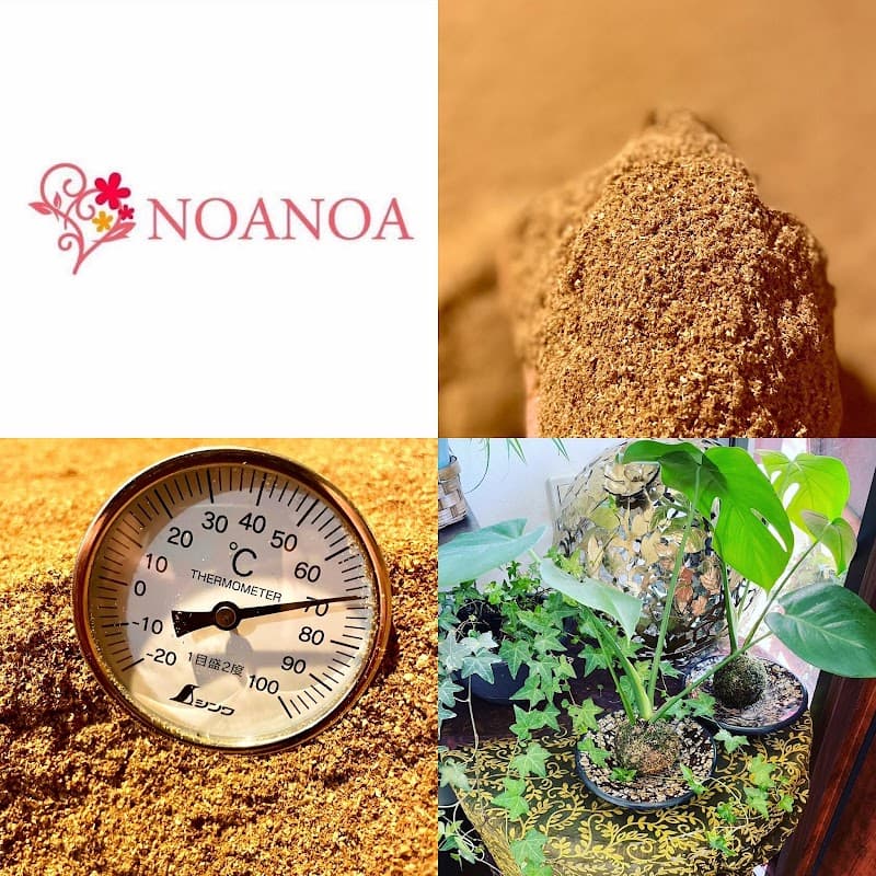 Hinoki Enzyme Spa NOANOA Kumamoto City Higashi Ward photo