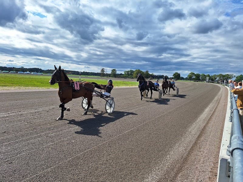 Hipodroomi peoruumid Tallinn photo