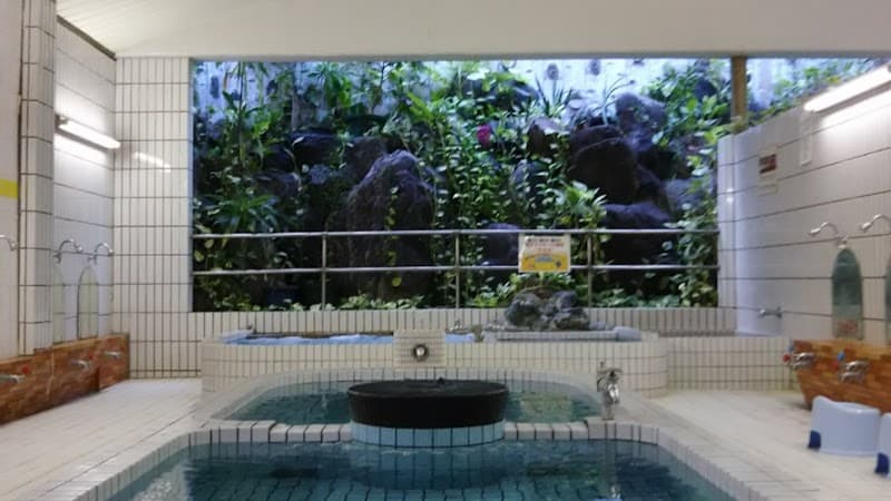 Hirata Onsen Nagoya City Higashi Ward photo