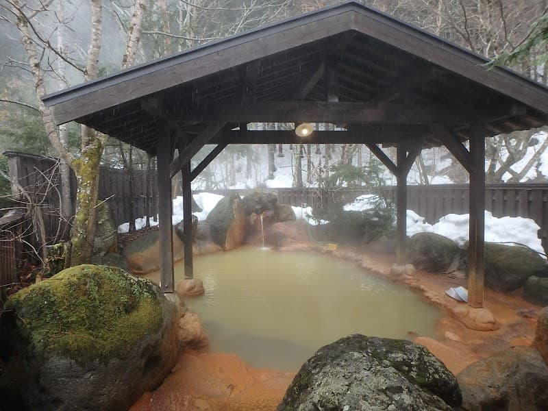 Hirayu Onsen Kami no Yu Takayama-shi photo