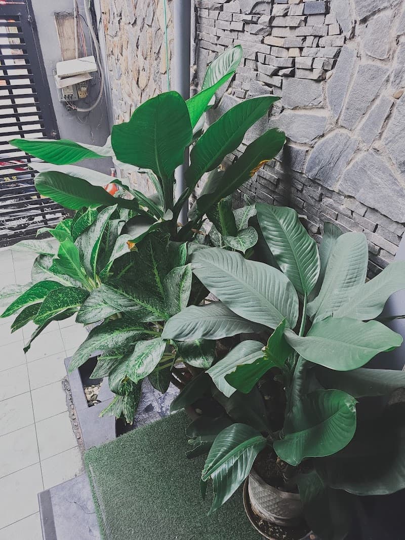 HJ/BJ Spa Quận 10 photo