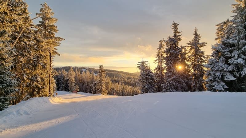 Hjärtats Hus Romme photo