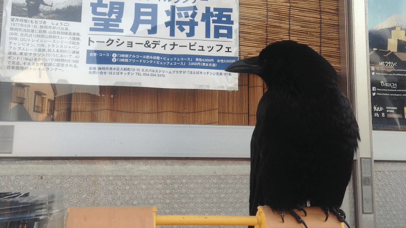 Hogushiya Numazu Karasu no Hope Numazu City photo