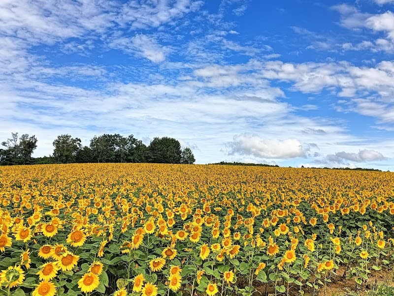 Hokuryu Onsen Uryu District Hokuryu Town photo