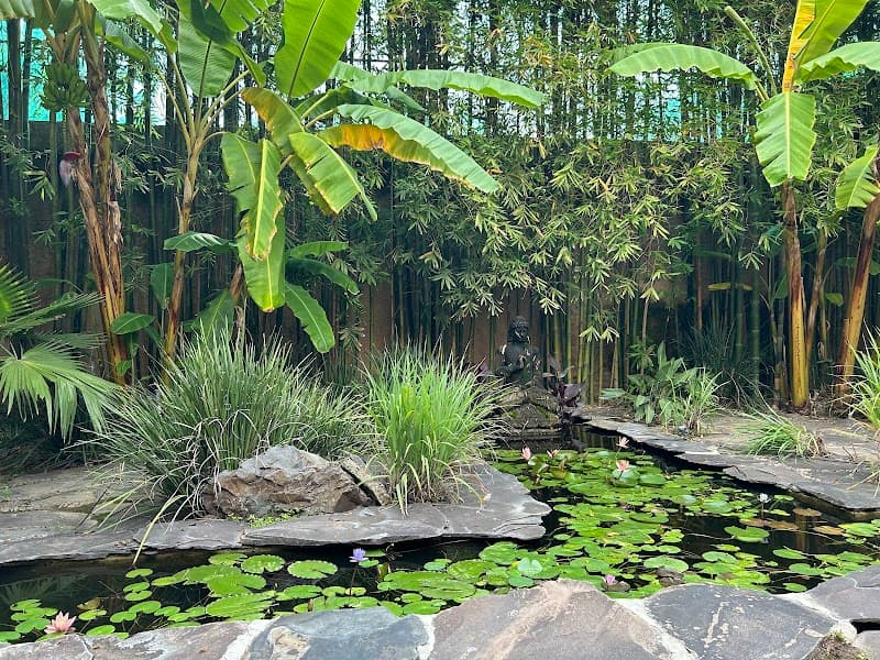 Holisti-Ha Spa Clínico Guadalajara photo