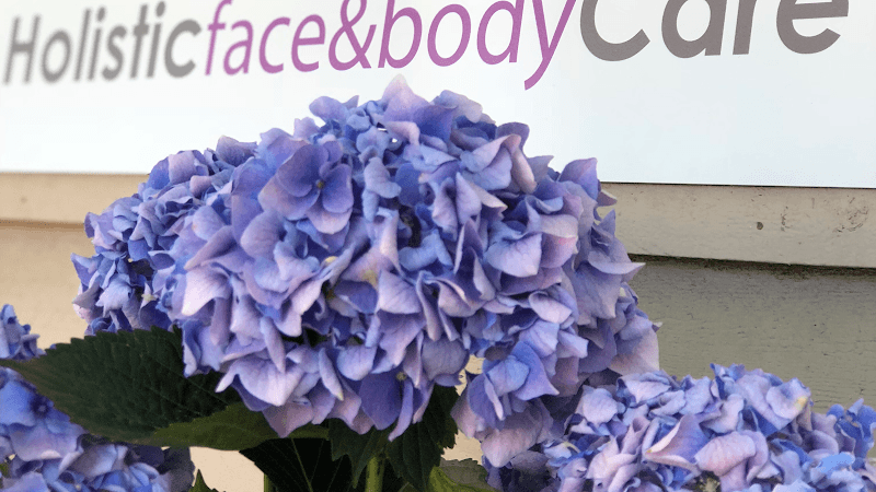 Holistic Face & Body Care Cupertino photo