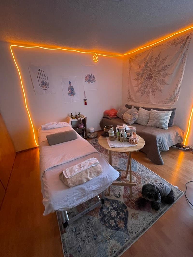 Holistic Natural Health Mexico City photo