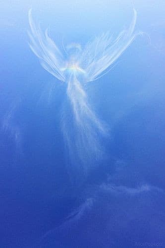 Holistic Tree Mobile Therapist Westhill photo