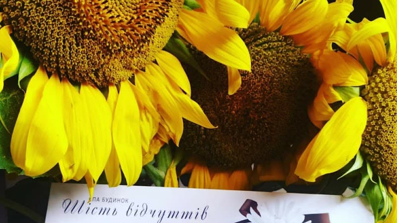 Home Spa Six Senses Bila Tserkva Raion photo