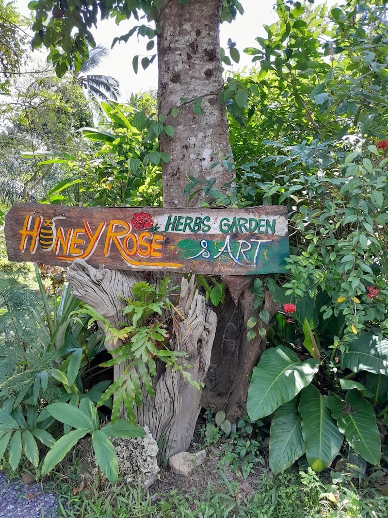 Honey Rose Herb Gardent &Art Koh Samui photo