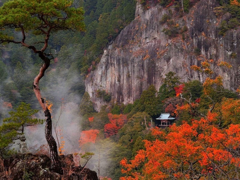 Horai Yuarina Shinshiro City photo