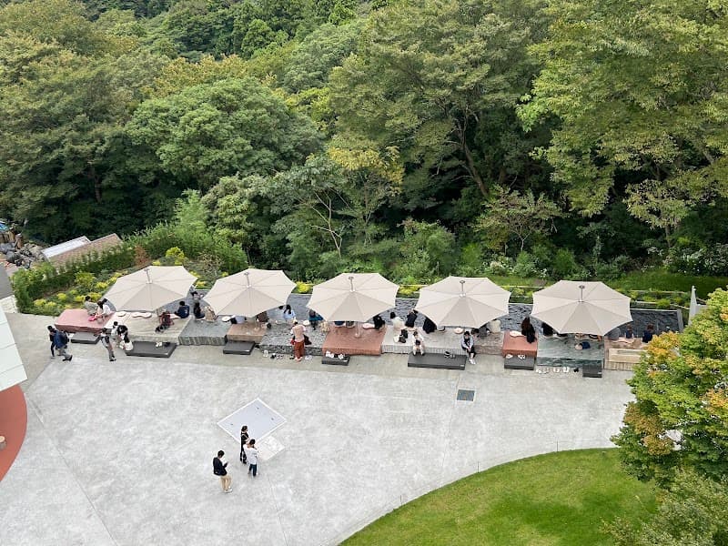 Hot-Spring Foot-Bath Hakone photo