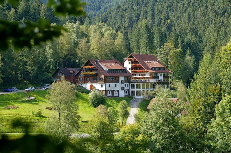 Hotel Forsthaus Auerhahn Black Forest photo