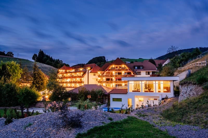 Hotel Ludinmühle Black Forest photo
