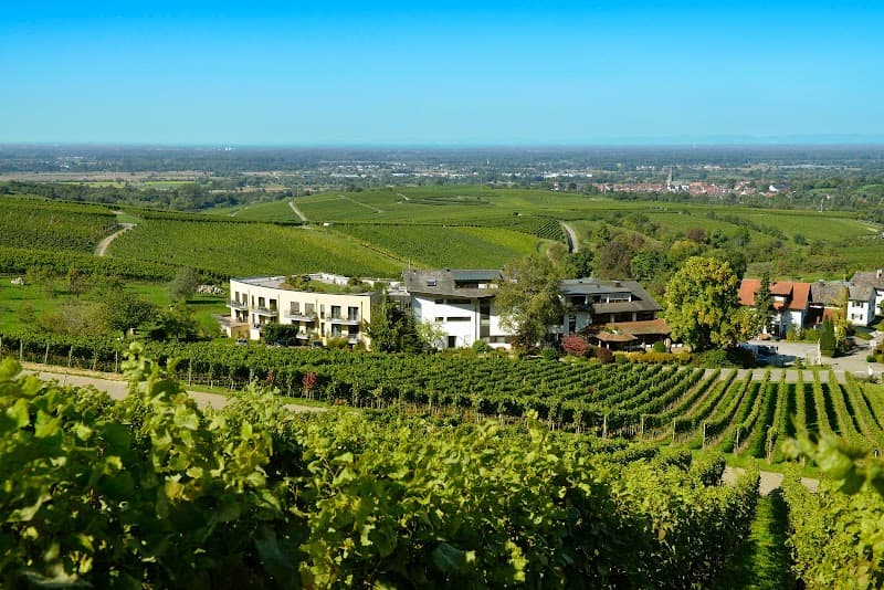 Hotel-Restaurant Rebenhof Baden-Baden photo