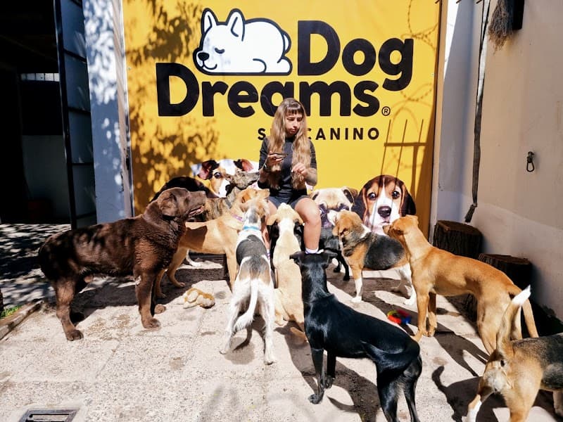 Hotel y Spa canino Bombinhas Godoy Cruz photo