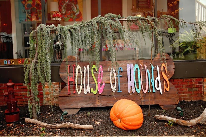 House Of Hounds Charleston photo